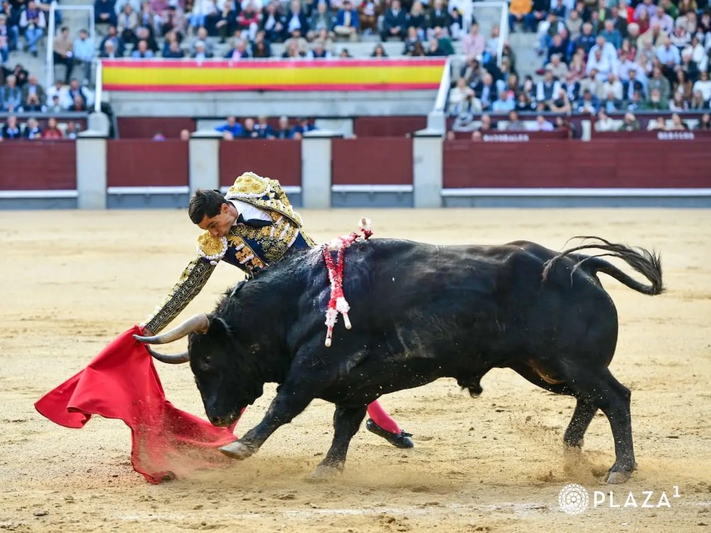 Imagen 2