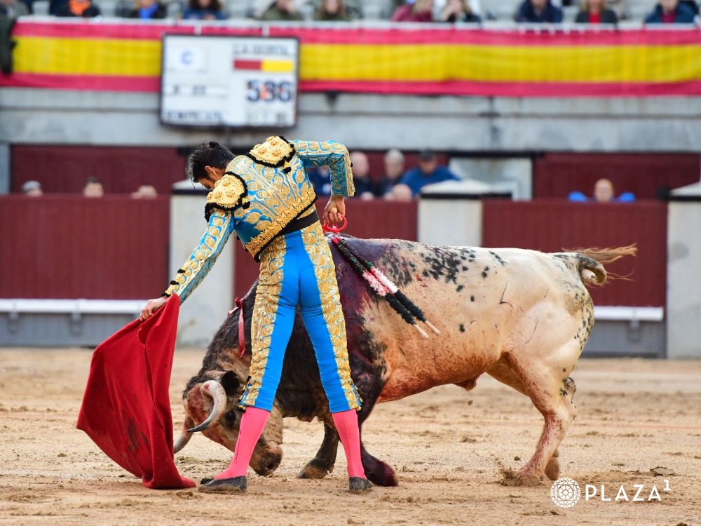 Imagen 5