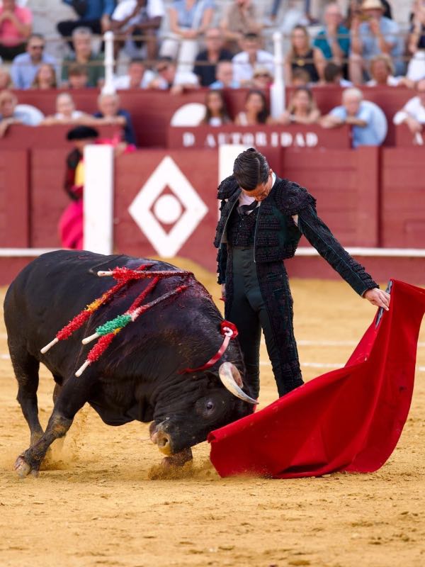 “Expreso mi concepto bajo los cánones del clasicismo, con mi singularidad personal” - Entrevista a David Galván