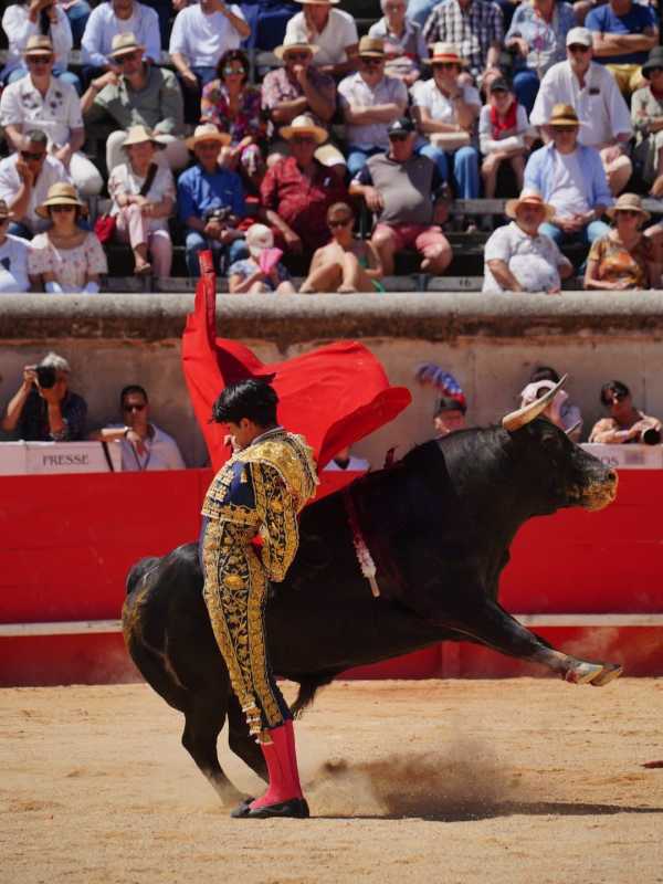 Clovis abre la Puerta de los Cónsules en Nimes