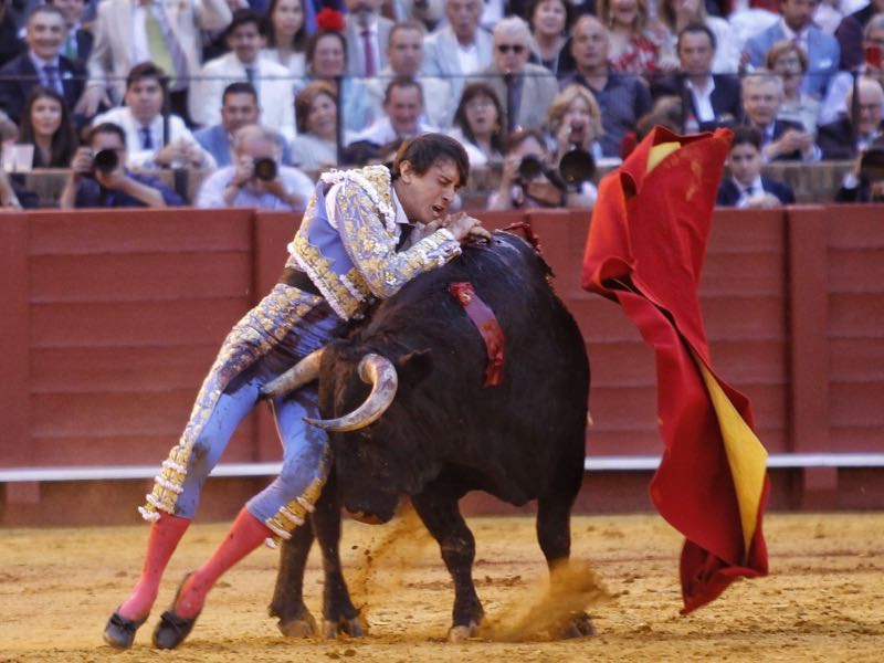 Habla Octavio Mulet, cirujano jefe de la maestranza tras el grave percance de Roca Rey