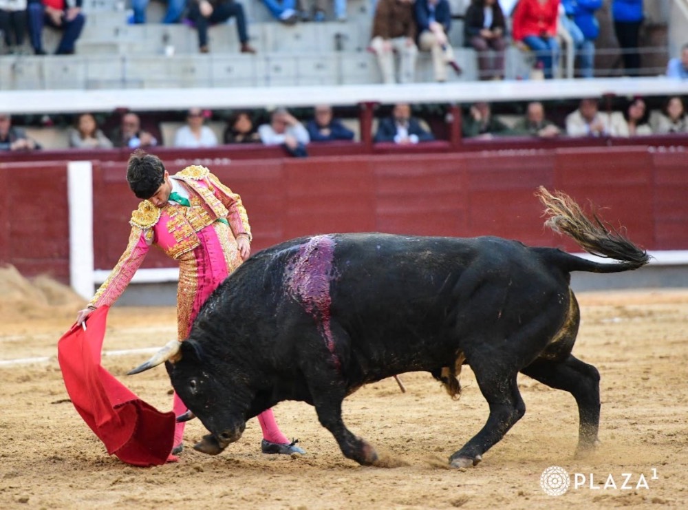 Imagen 3