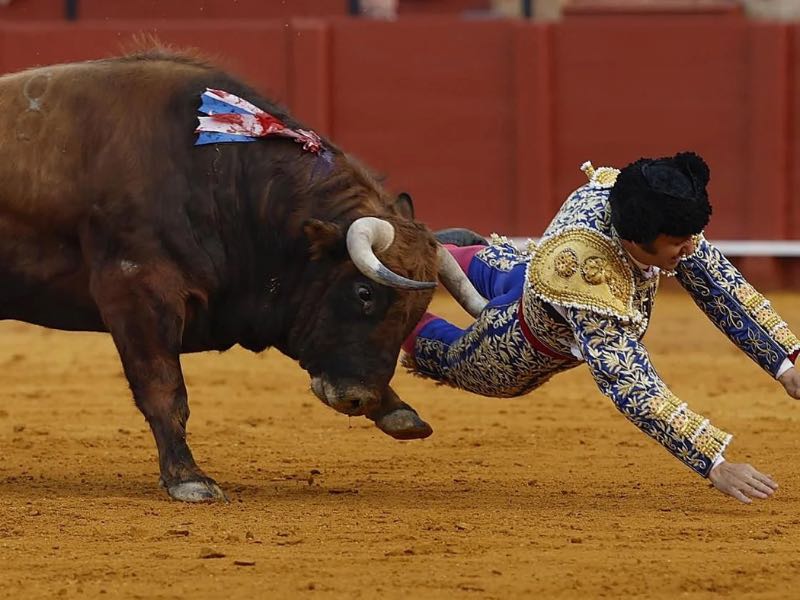Morante de la Puebla sufre una cogida en la Feria de Abril de Sevilla