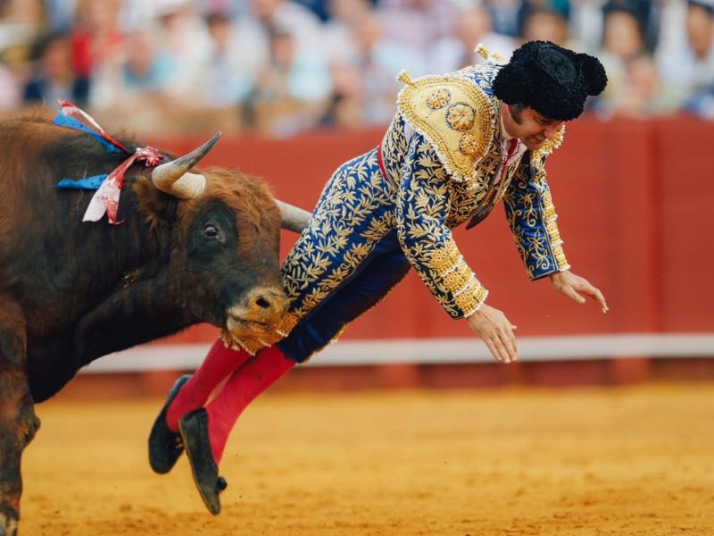 Palabras del cirujano que operó a Morante en la Maestranza