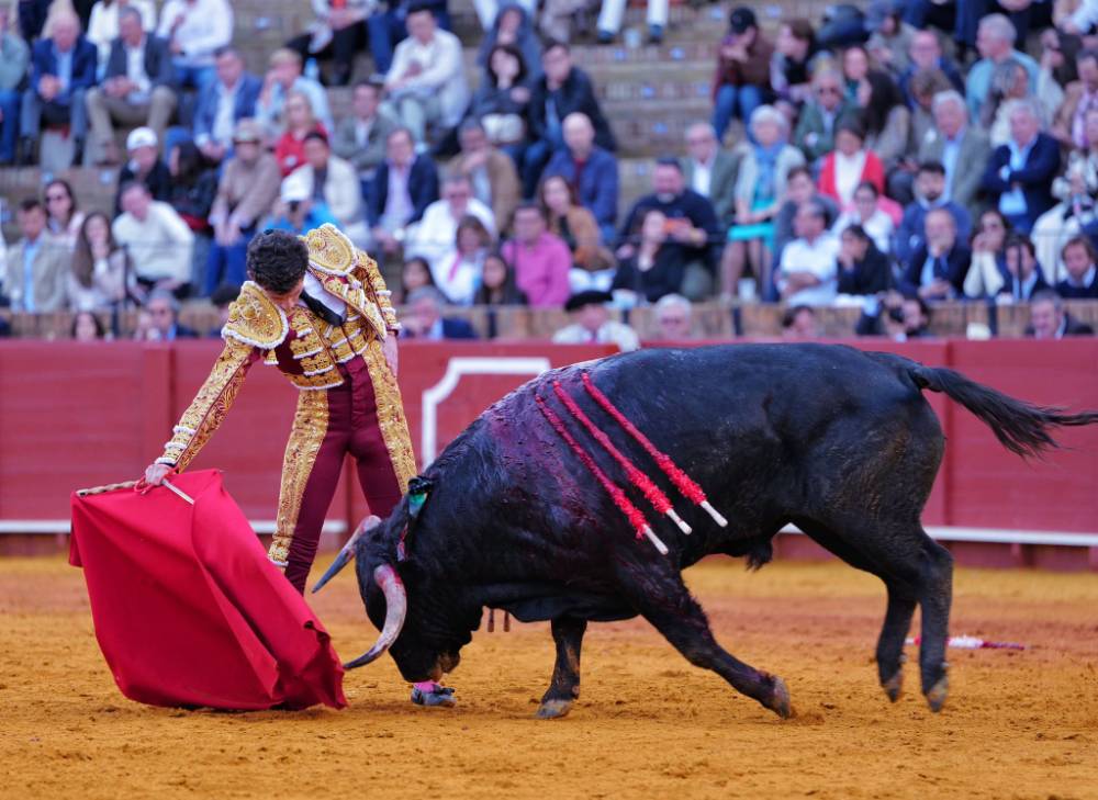 Imagen 28