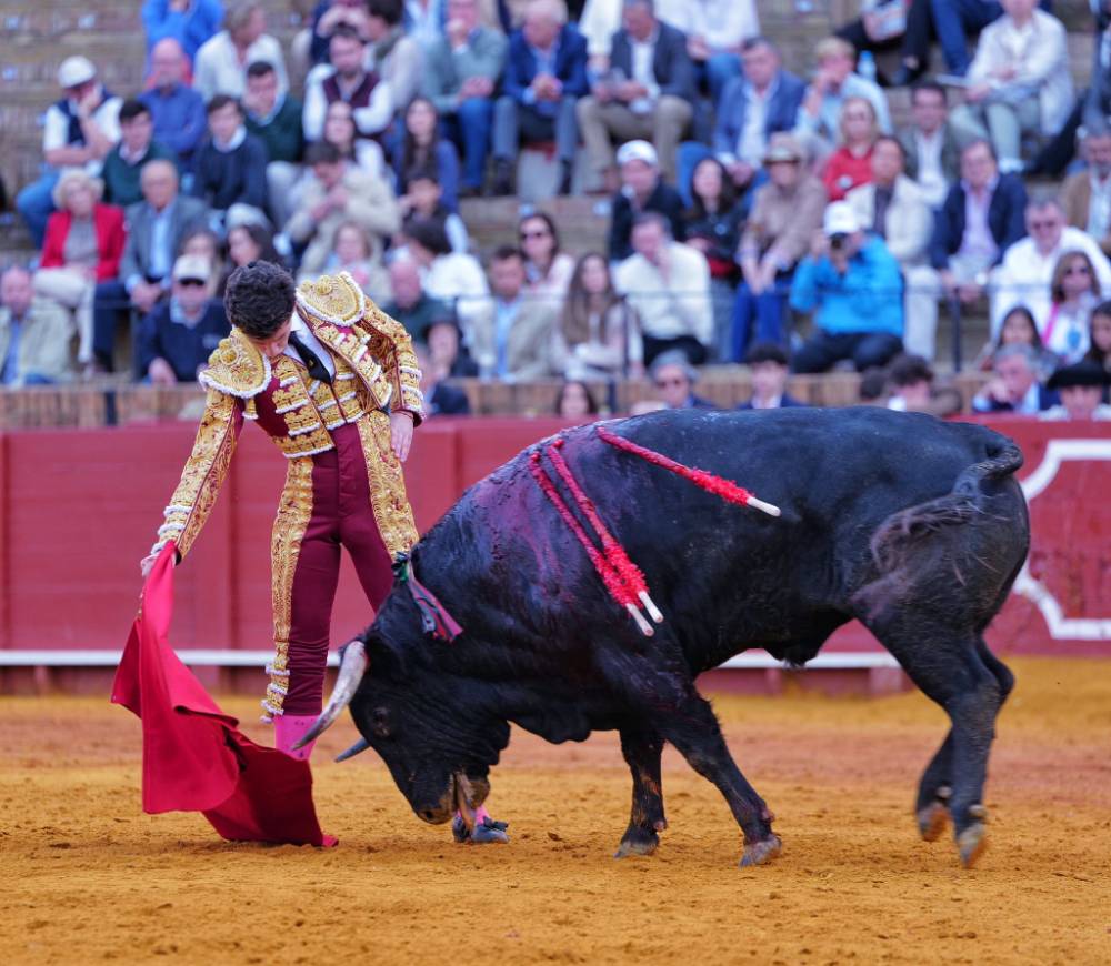 Imagen 16