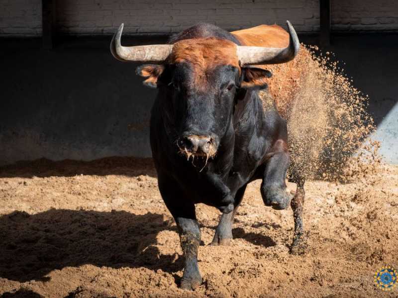 Orden de lidia de la corrida de toros de hoy en Las Ventas
