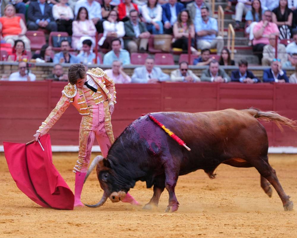 Imagen 4