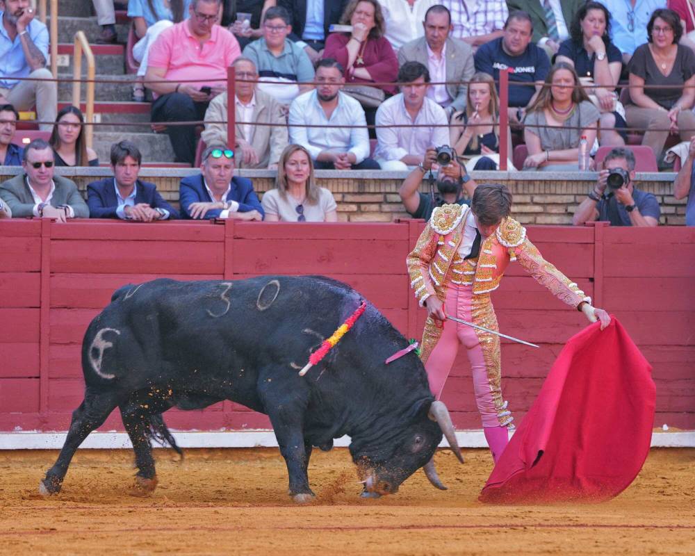 Imagen 5