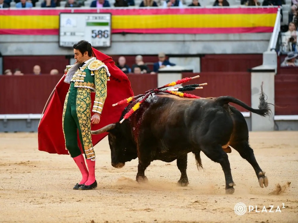 Imagen 2