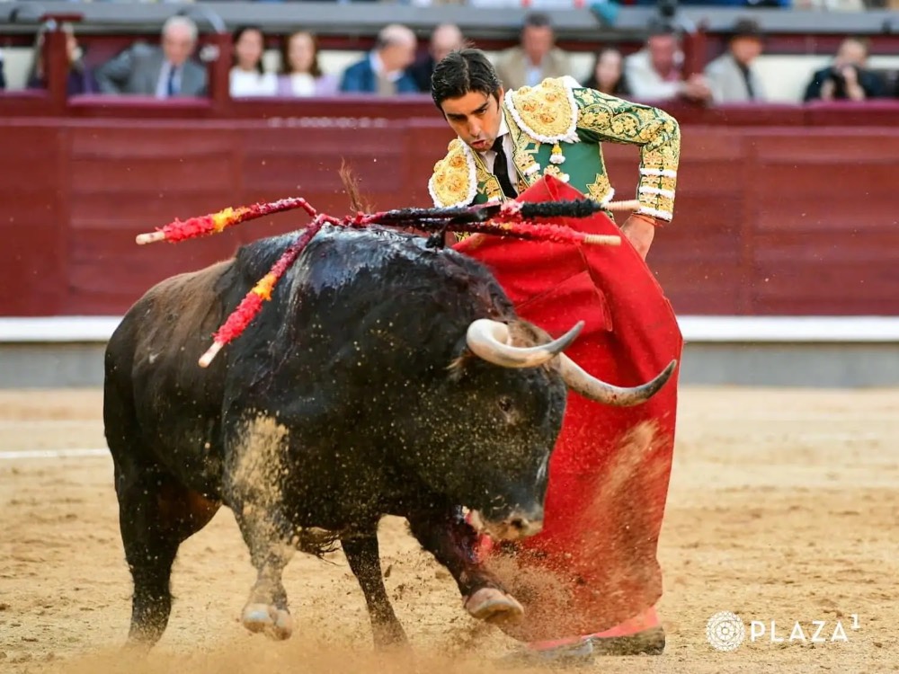 Imagen 3