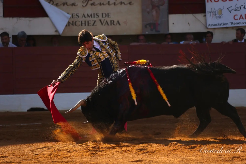 Imagen 3