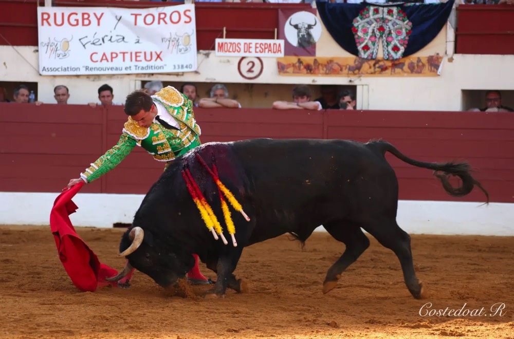 Imagen 6