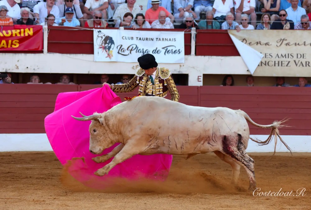 Imagen 7