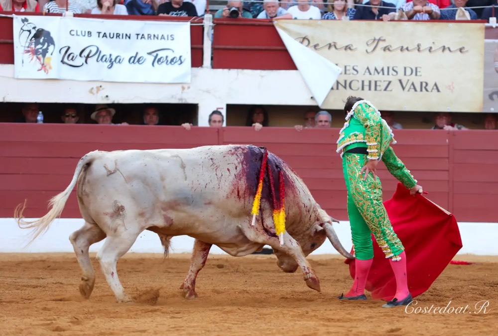 Imagen 12