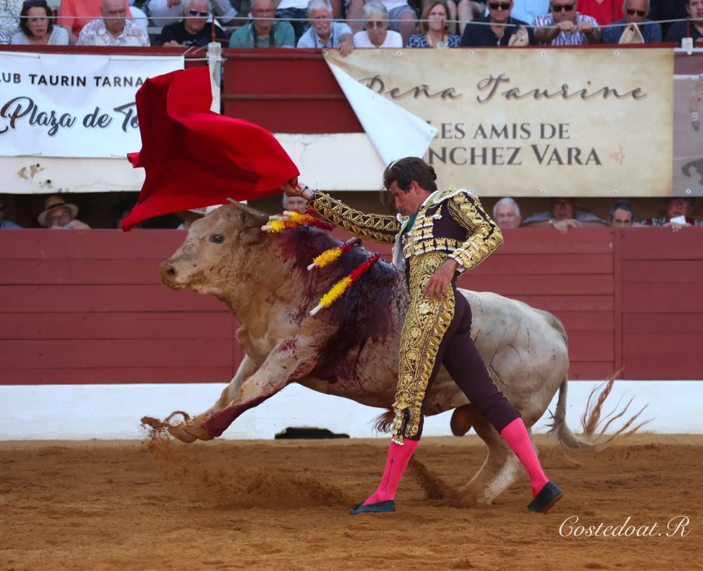 Imagen 9