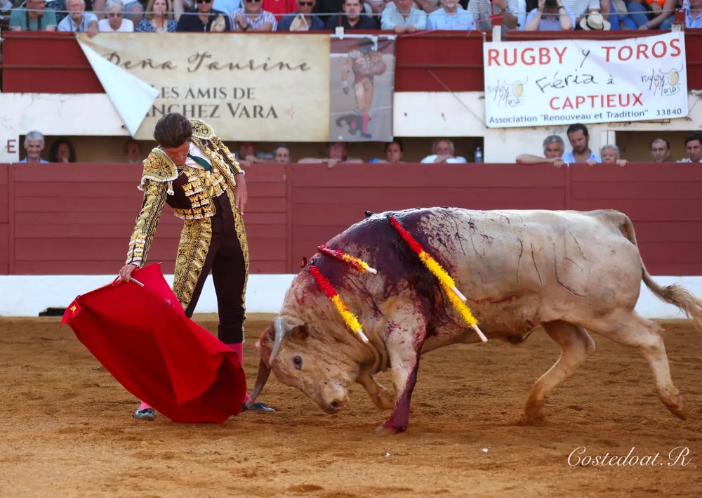 Imagen 8