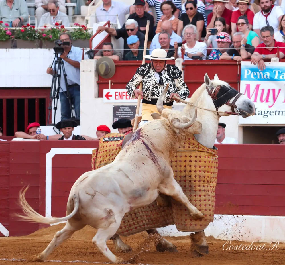 Imagen 11