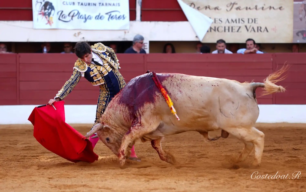 Imagen 10