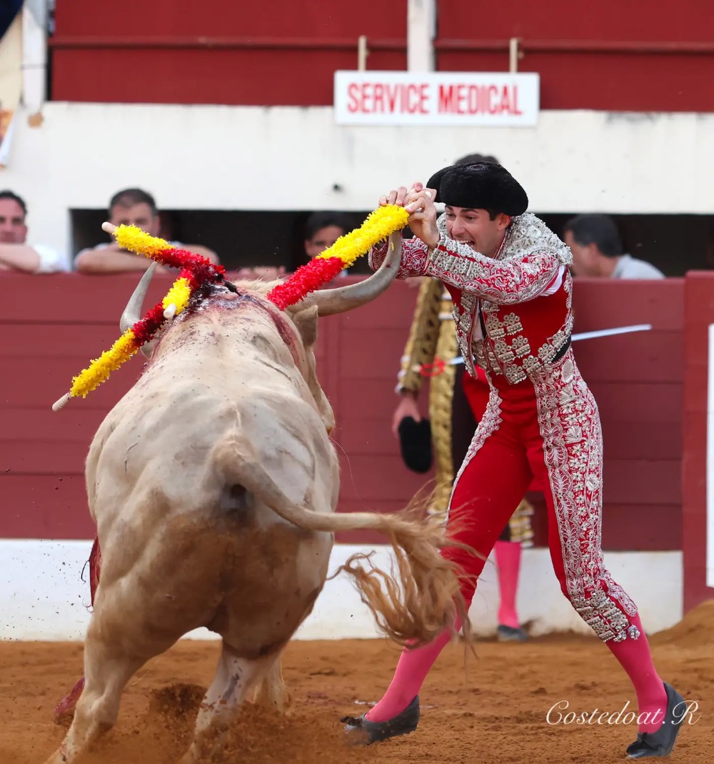 Imagen 13