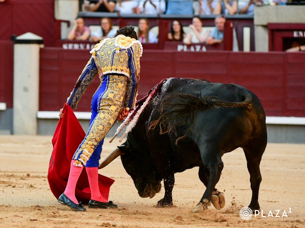 Imagen 3