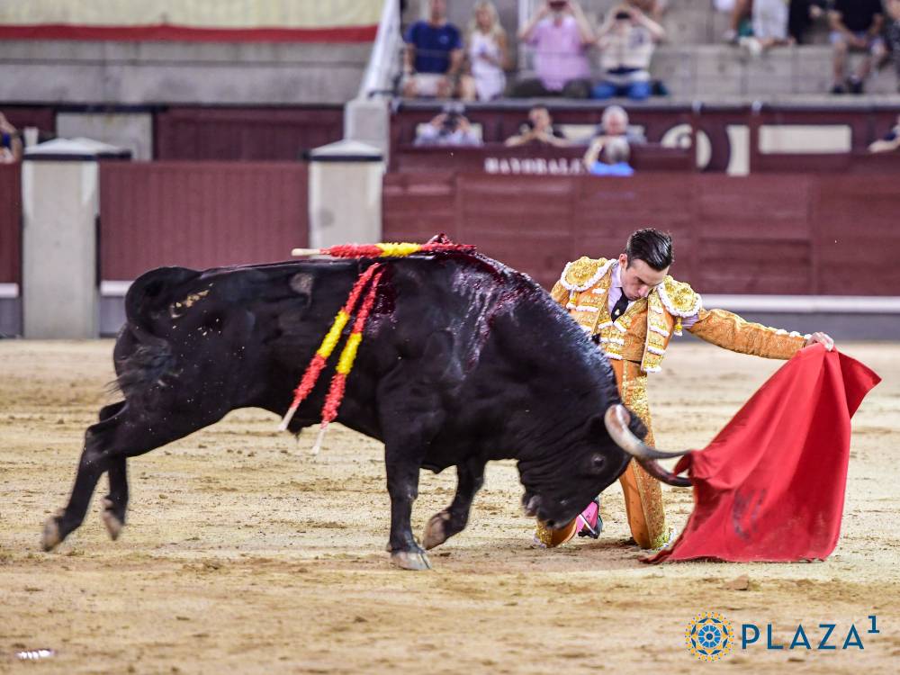 Imagen 1
