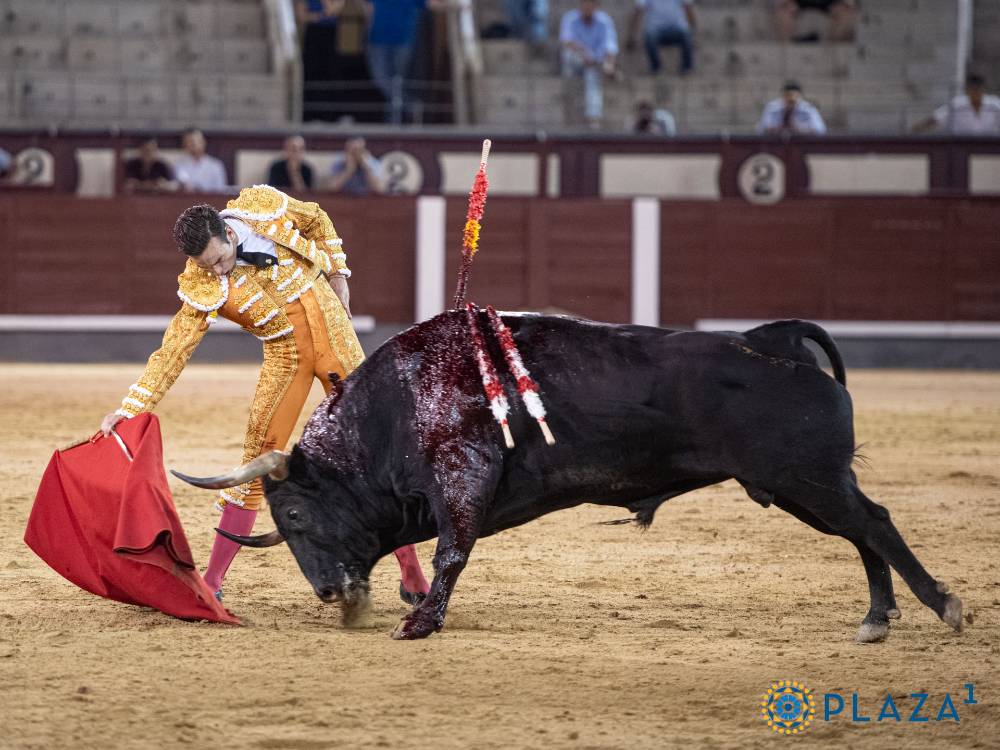 Imagen 2