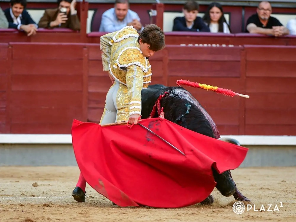 Imagen 8