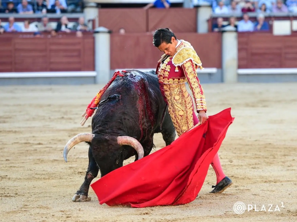 Imagen 11