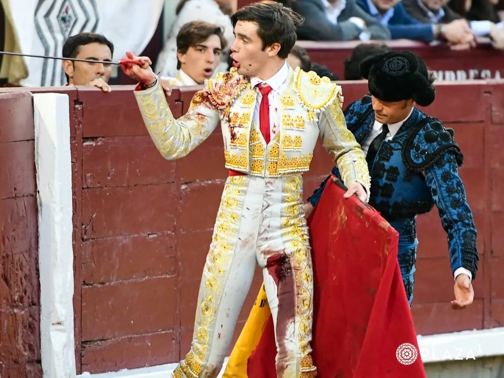Imagen 15