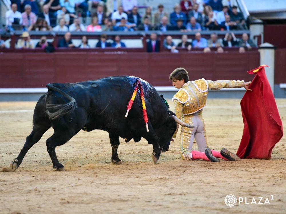 Imagen 3