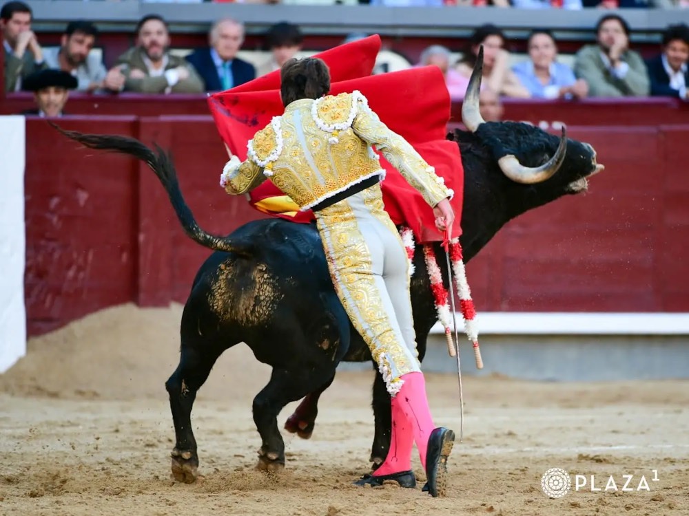 Imagen 2