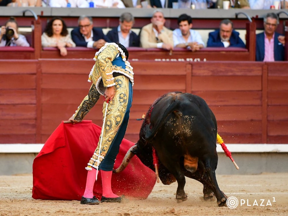 Imagen 9
