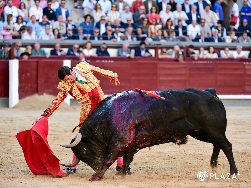 Imagen 4