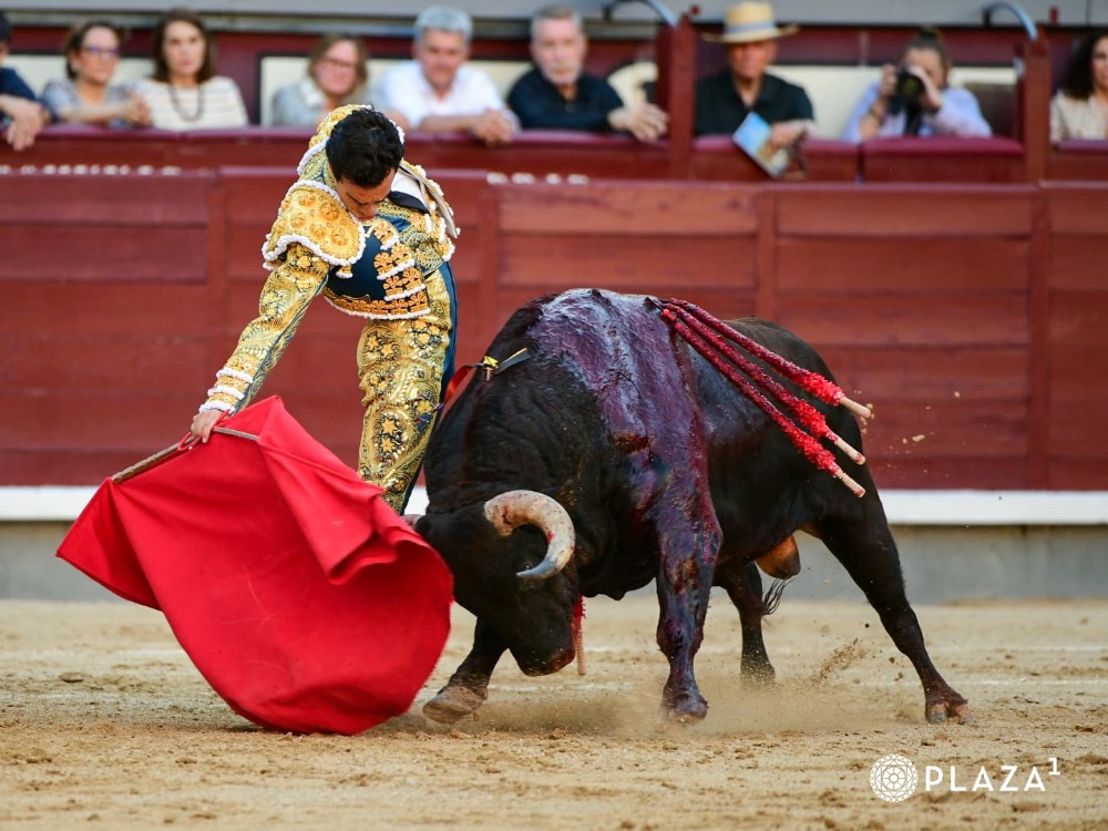 Imagen 8