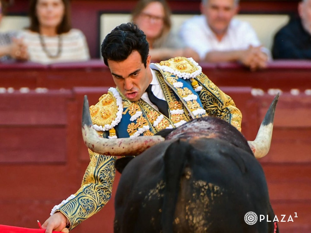 Imagen 7