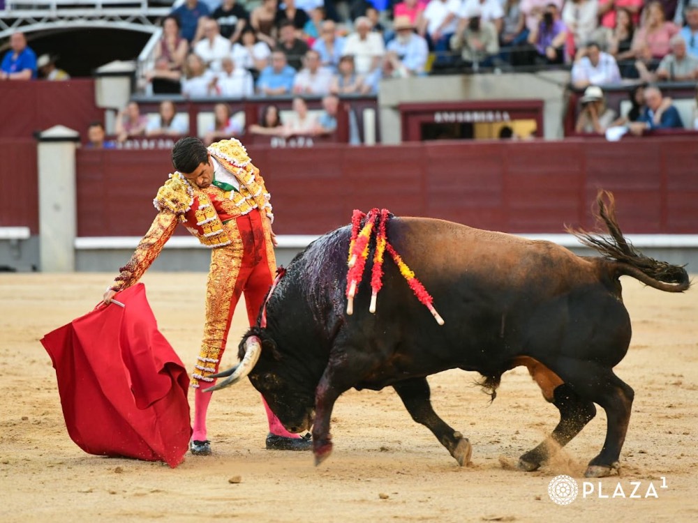 Imagen 14