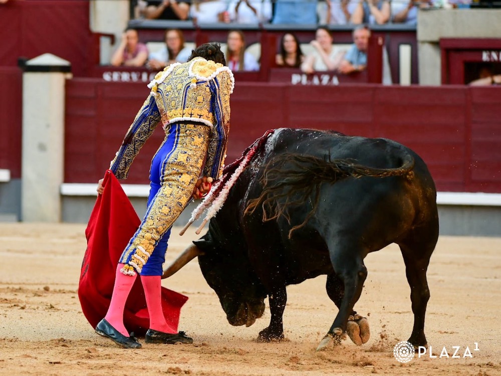 Imagen 12