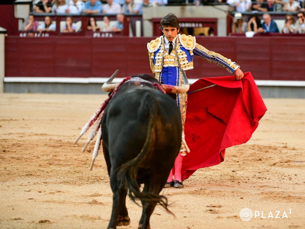 Imagen 13
