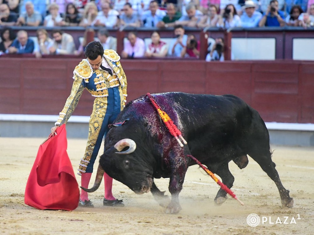 Imagen 15