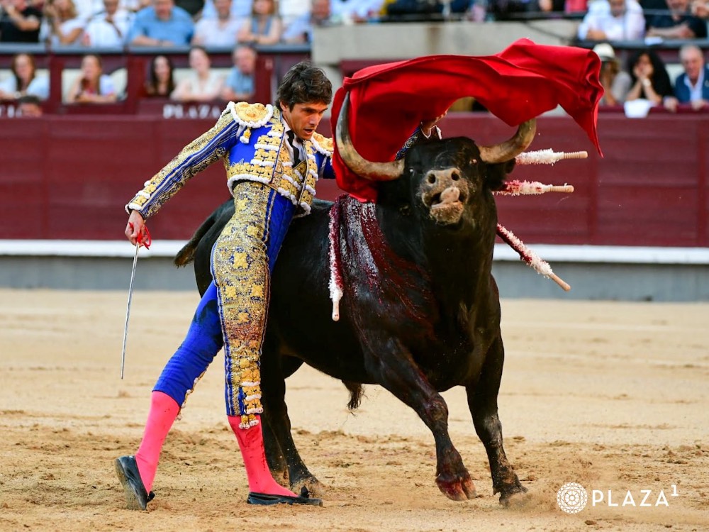 Imagen 11