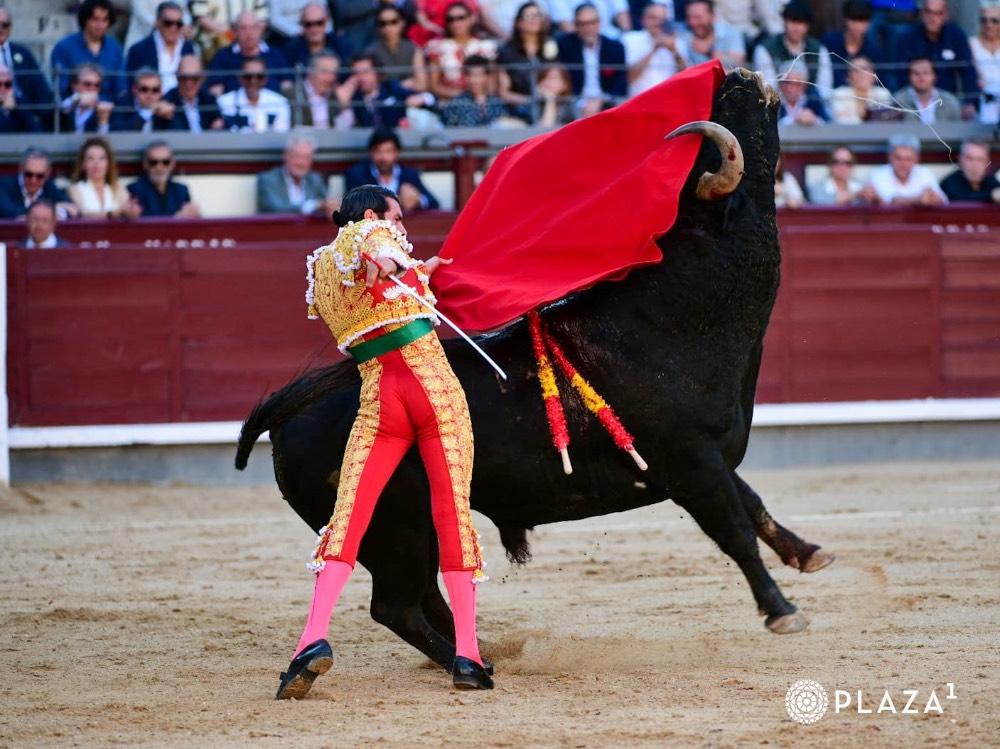 Imagen 5