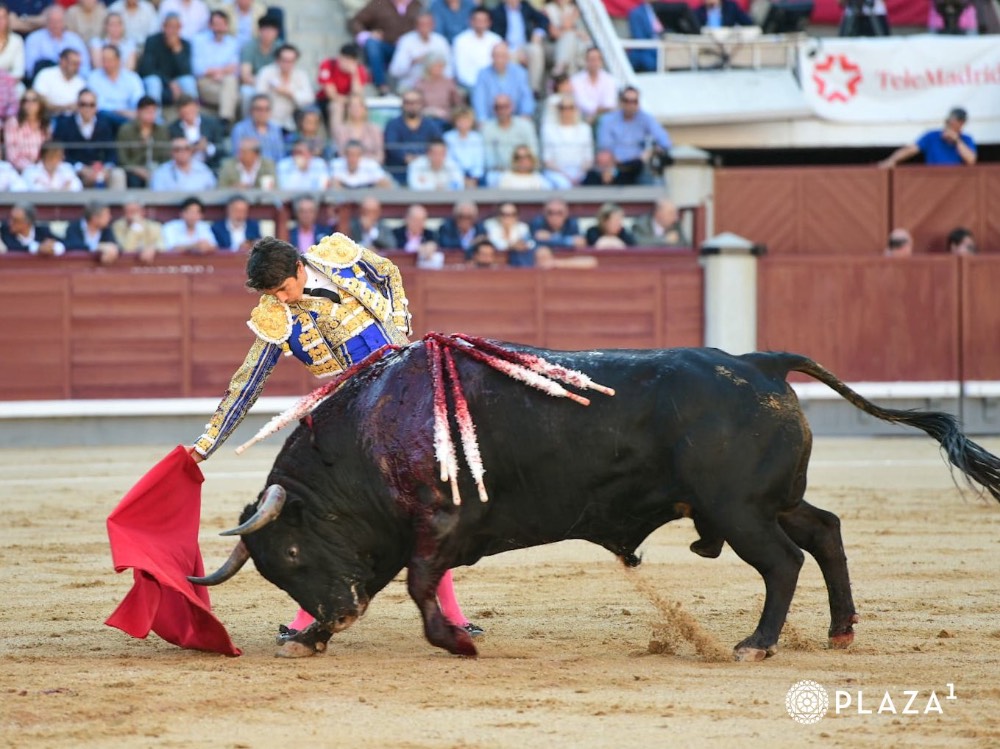Imagen 3