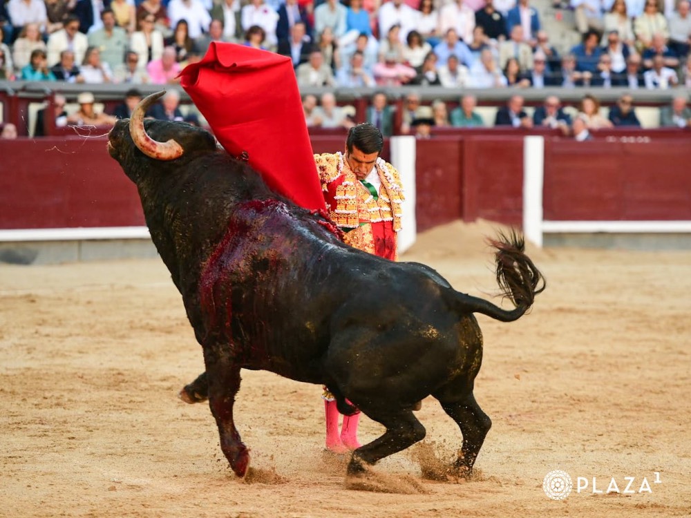 Imagen 6