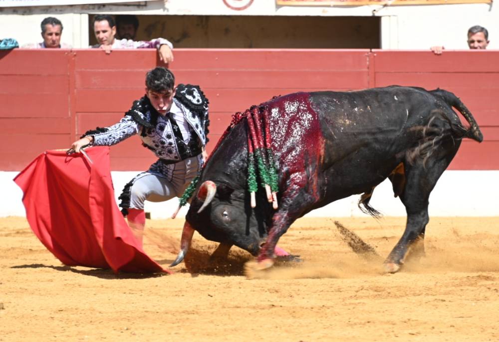 Imagen 3