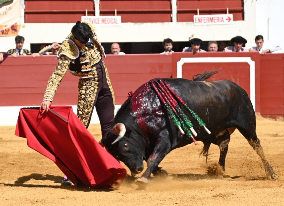 Imagen 2