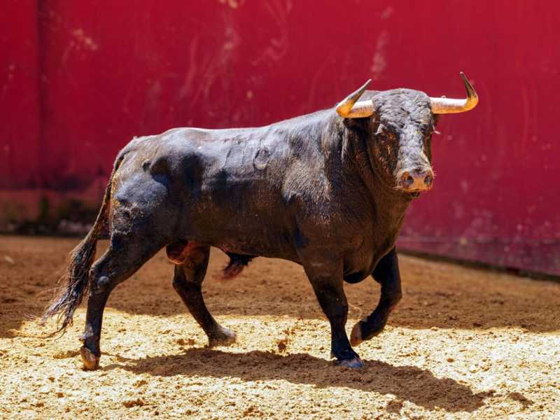 Cuarentaycinco de Domingo Hernández cierra Córdoba