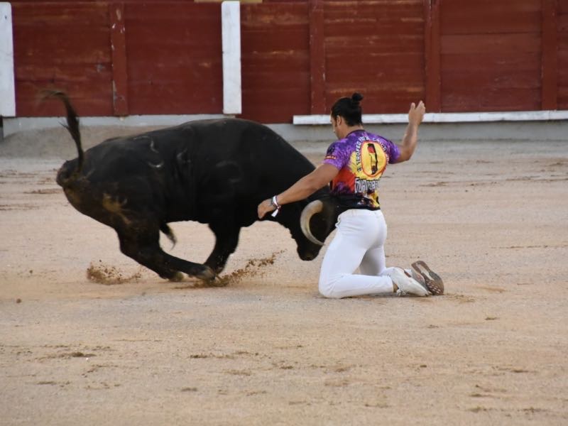 Fernando Polo se lleva el emocionante concurso de recortes en Guadalajara