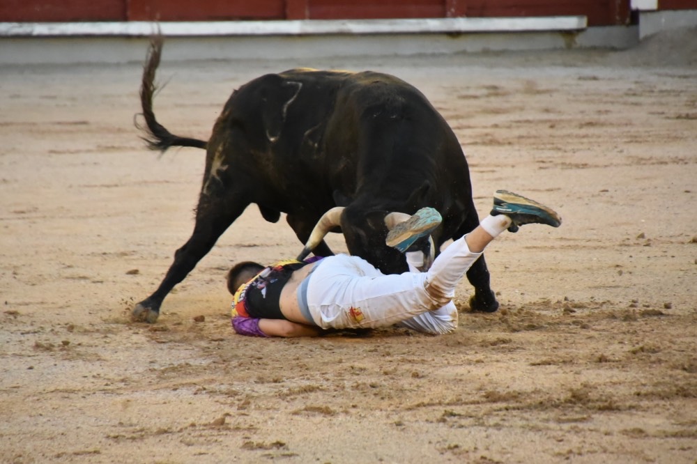 Imagen 3