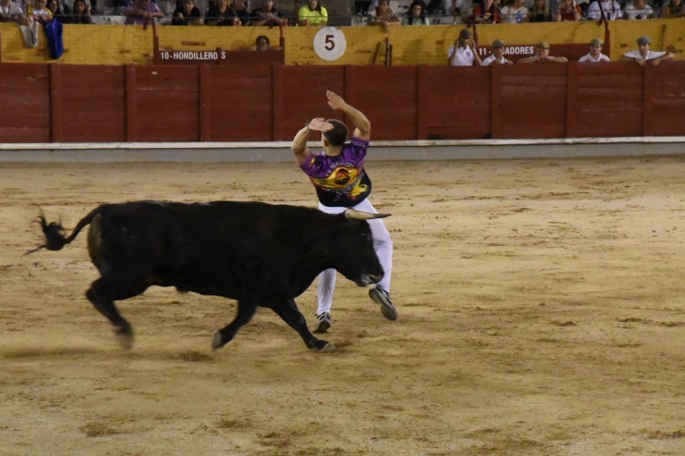 Imagen 6
